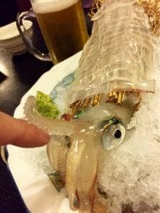 居酒屋 丸丸屋
