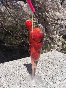 サングリバー スロージャム