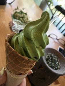 日本茶専門店 新緑園