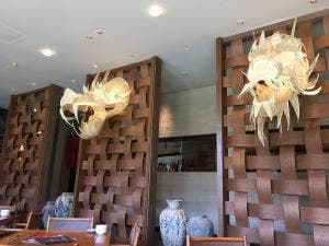 ドラゴンキッチンダイナスティ 光の森店