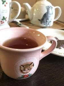 カフェ猫の散歩道