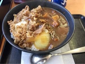 吉野家 19号線春日井西店