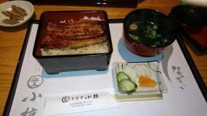 うなぎ小椋 道後店