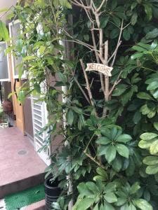 きっちんオリーブ