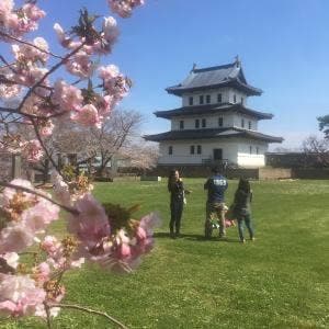 松前城観光案内所 花守