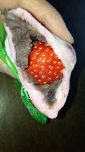 枡つきもち 大福亭 弥生通店