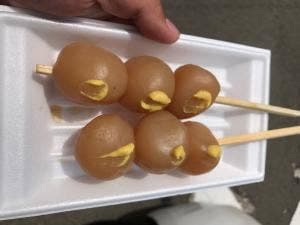 宮城蔵王キツネ村