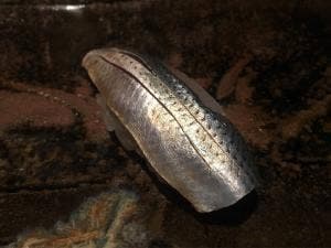 万魚