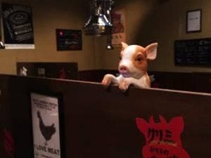 炭火焼肉 てんてん