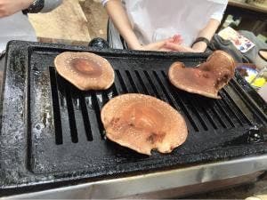 しい茸ランド かさや