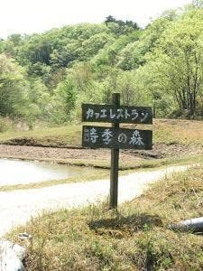 時季の森