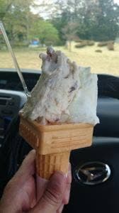 安達太良高原観光牧場 あだたら高原 アイスクリームガーデン