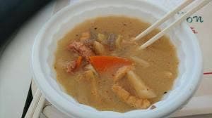 富士芝桜まつり 富士山うまいものフェスタ