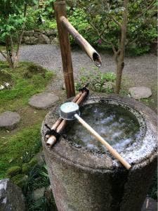 アピエ