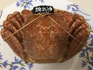 橋本商店