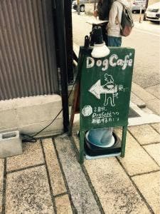 DOG CAFE