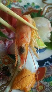 和 とどろき