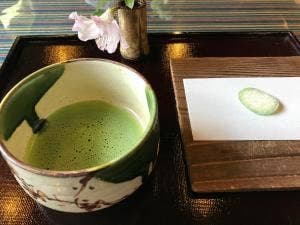 山燈花