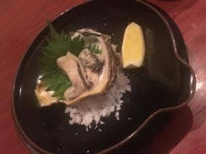 彗月