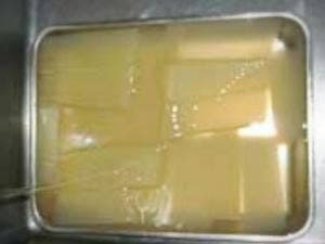 釣船 龍弘丸