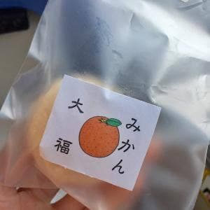 宗家 くつわ堂 総本舗