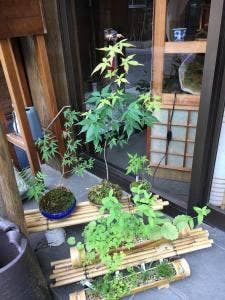 ひだや