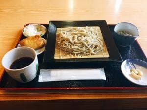 もりの樹