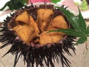 しまだ鮨