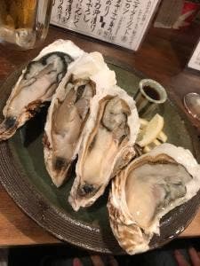 オイスター酒場さくらの