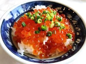 お食事処 漁火亭 湯の川プリンスホテル渚亭