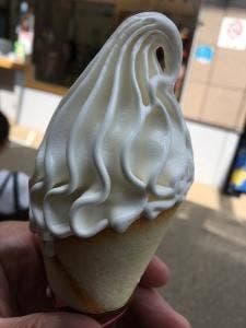 道の駅 田園の里うりゅう あいす館