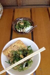 京豆腐 服部