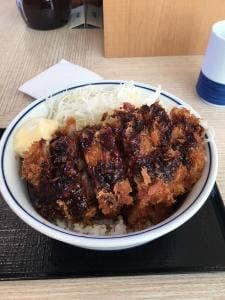 かつや 姫路野里店