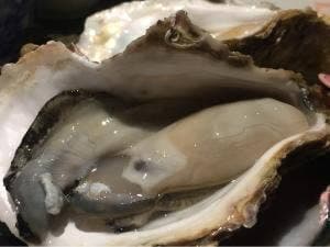 オイスターとおばんざい 石花Hanare 錦