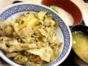 吉野家 230号線藻岩店