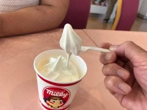 不二家 横芝光IC店