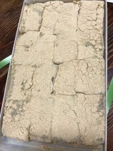 ときわぎ 常盤木