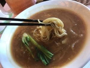 菩提樹