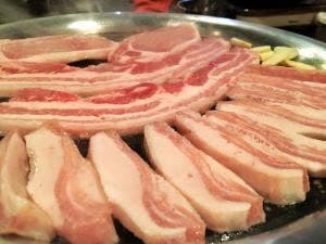 わっさむ