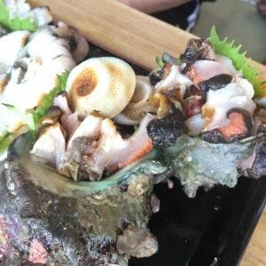 しおさい