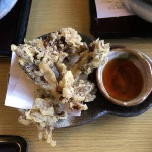 かたしなや