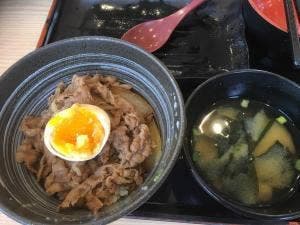 吉野家 岡崎南店