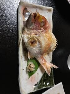 松島館