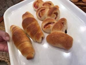 スペイン石窯パン酵母 はちの子