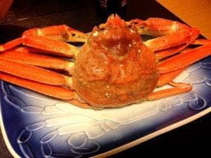 越前の宿 うおたけ