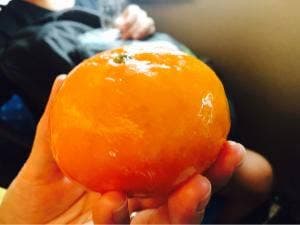 東海キヨスク 新横浜在来