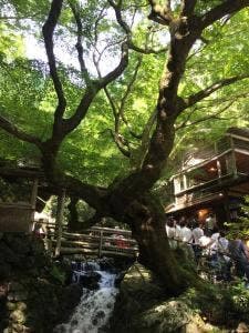 もみじ亭