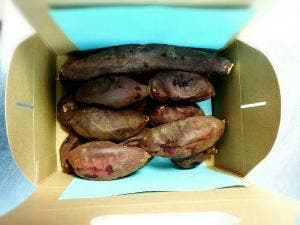 焼きいも専門店 樽屋