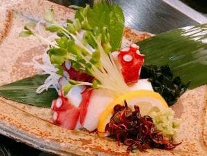 旬彩鮮魚 居酒屋 漁り火