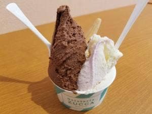 ジェラテリア ズッカ